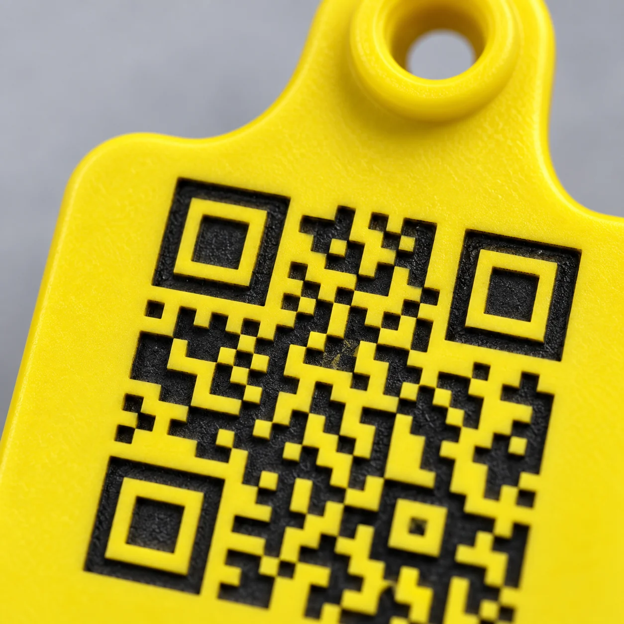 Detalhe macro do QR Code gravado a laser no brinco bovino amarelo