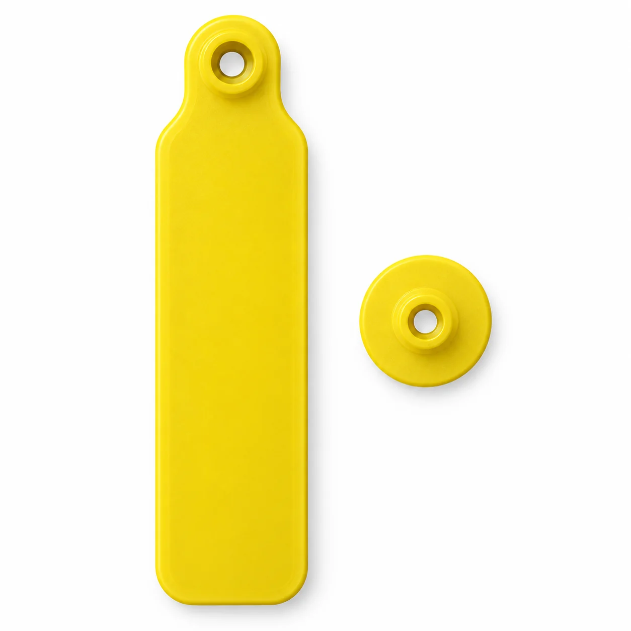 Comparação de tamanho entre o brinco bandeira UHF e o brinco botão bovino